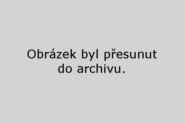 těhotenský test